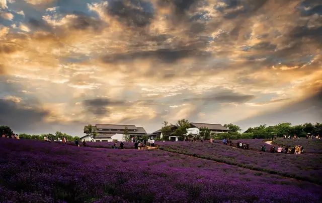 最美17公里路线,最美7公里人多吗