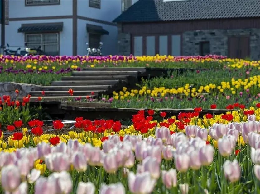 最美17公里路线,最美7公里人多吗