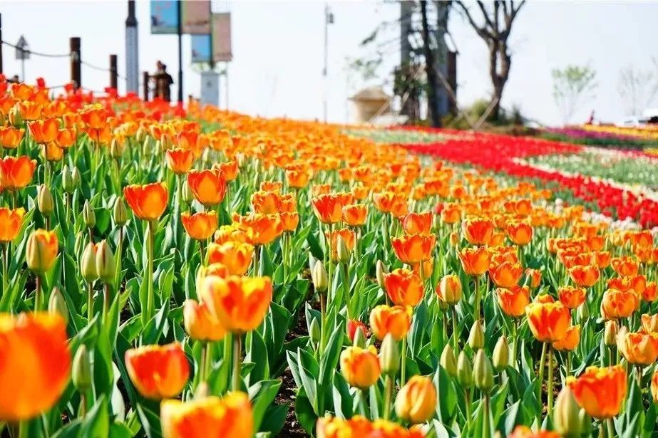 最美17公里路线,最美7公里人多吗