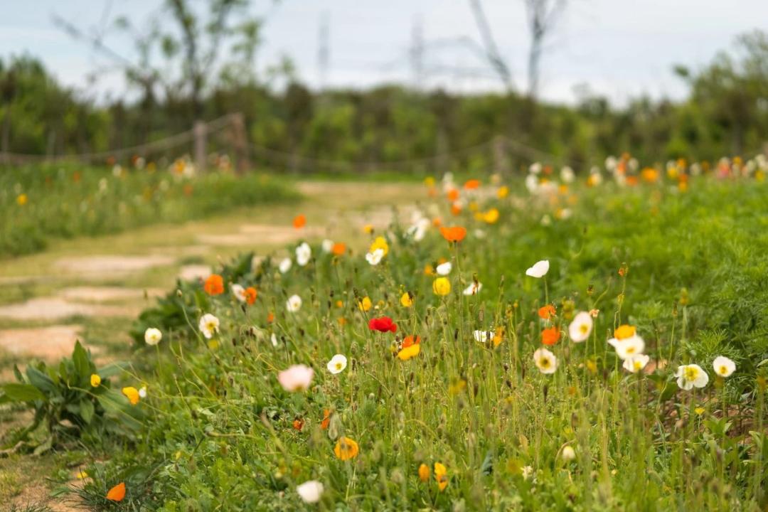 最美17公里路线,最美7公里人多吗