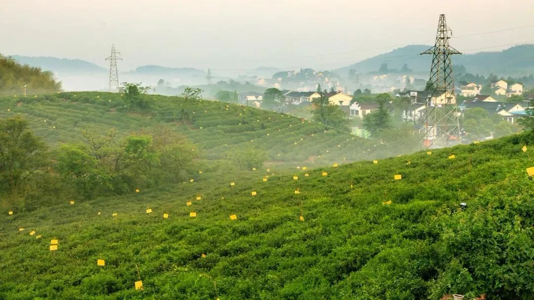 最美17公里路线,最美7公里人多吗