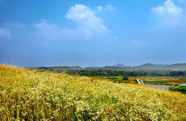 最美17公里路线,最美7公里人多吗