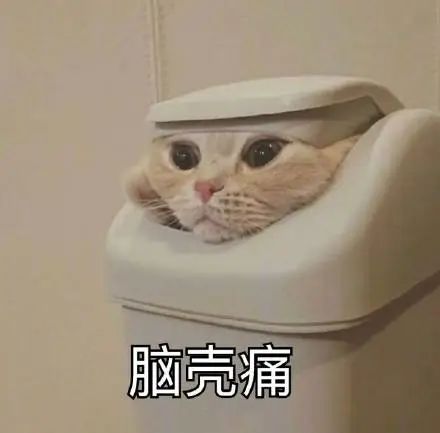 正在直播|《有医说医》：疼痛是病，得治