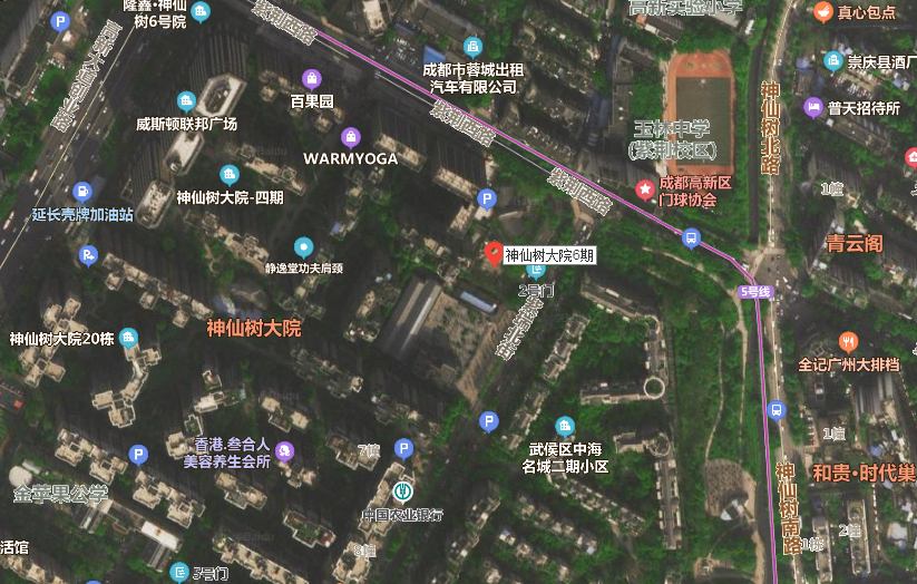 成都神仙树大院最新房价,成都高新区神仙树楼盘