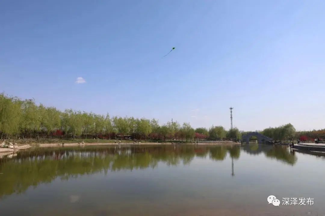 石家庄的春天真的太美啦,石家庄春天看花