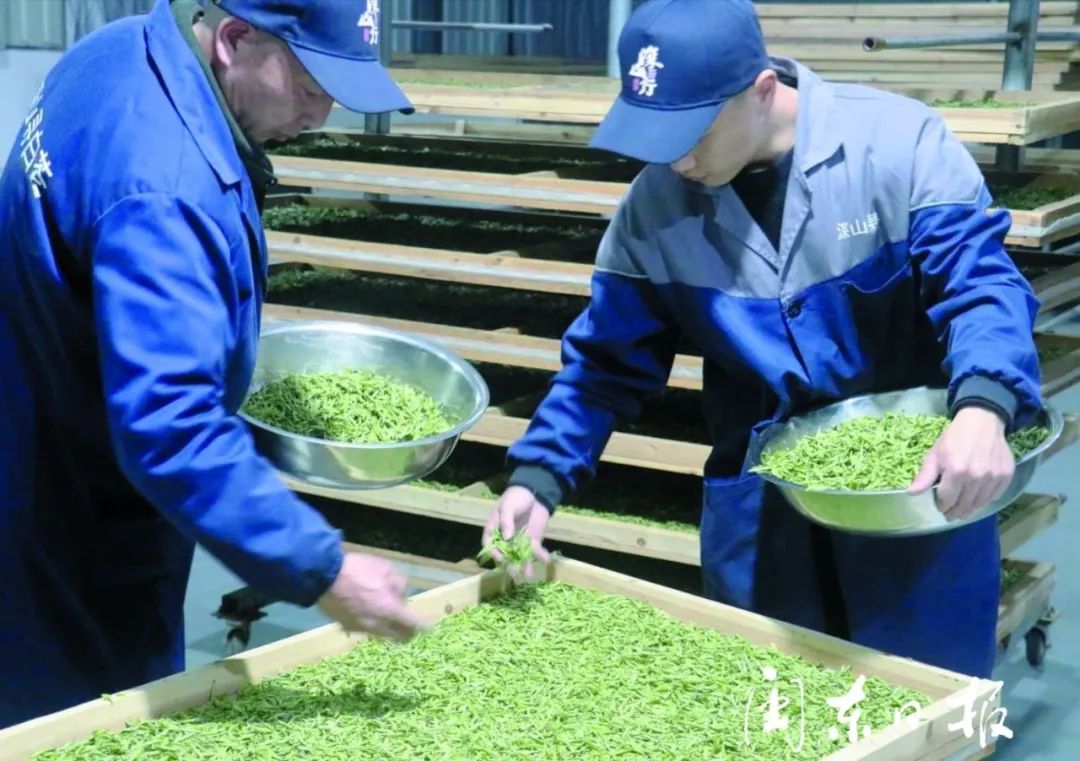 管阳镇挖出“土特产”,各个都是商机!