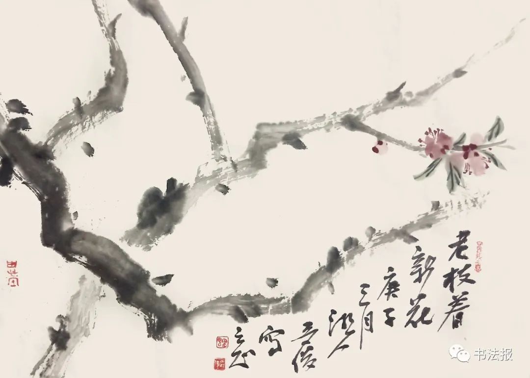 笔墨迎春花,57位画者为桃花“造像”