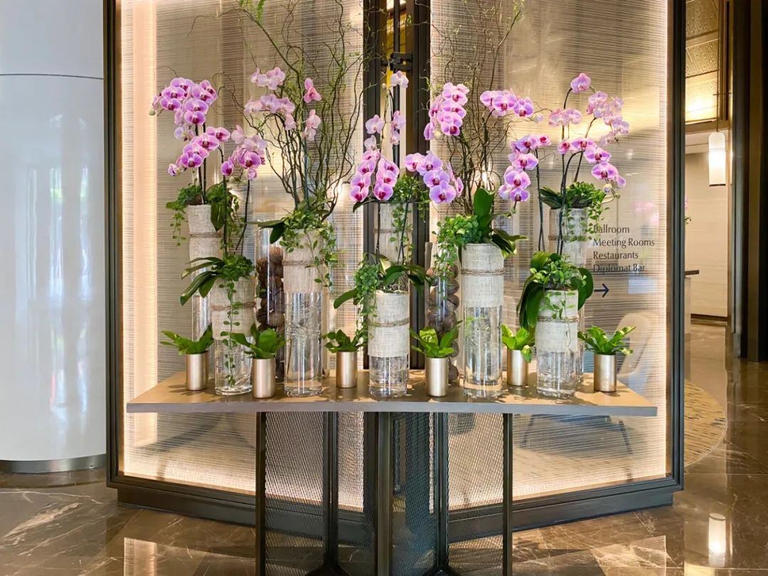 康莱德品牌,康莱德品牌品味