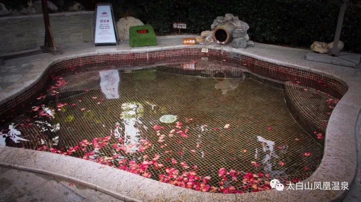 凤凰温泉泡温泉,五一凤凰温泉