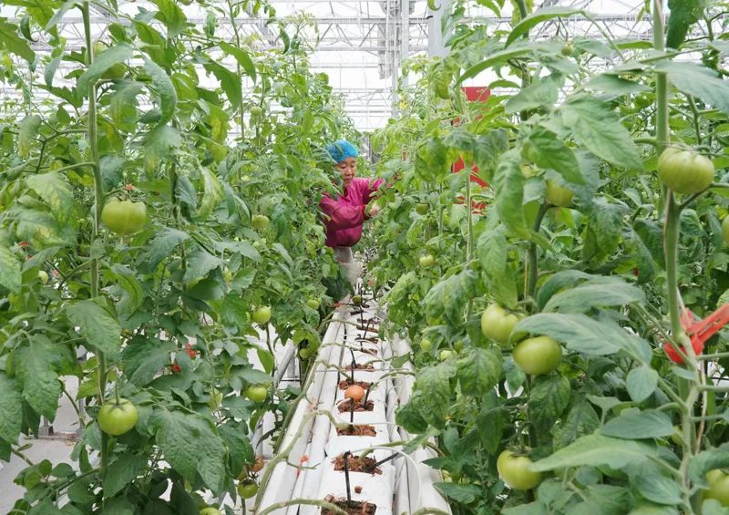 农村农业有效投资政策,农业农村部鼓励投资农业