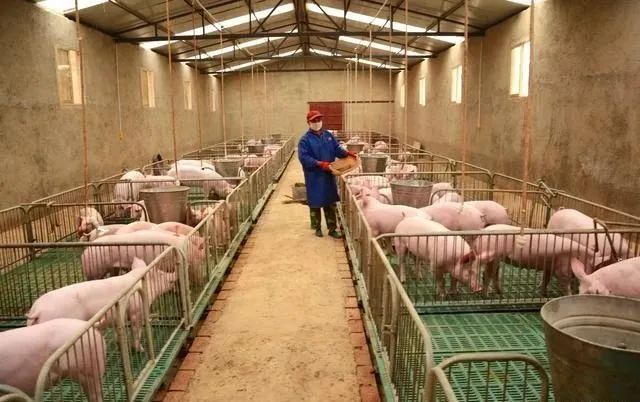 农村农业有效投资政策,农业农村部鼓励投资农业