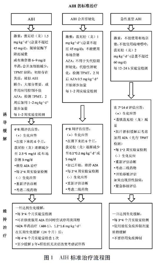 专家论坛｜王建设：儿童自身免疫性肝炎的诊治进展