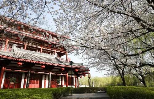 “游大唐,观始皇”只要368?这么香的价格没谁了