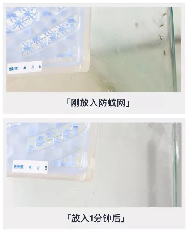 被疯抢的隐形蚊帐,随手一挂,蚊子全无
