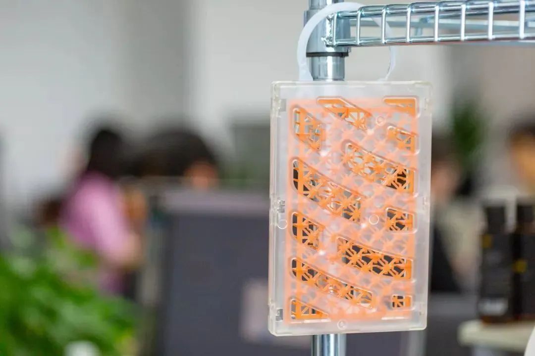 被疯抢的隐形蚊帐,随手一挂,蚊子全无