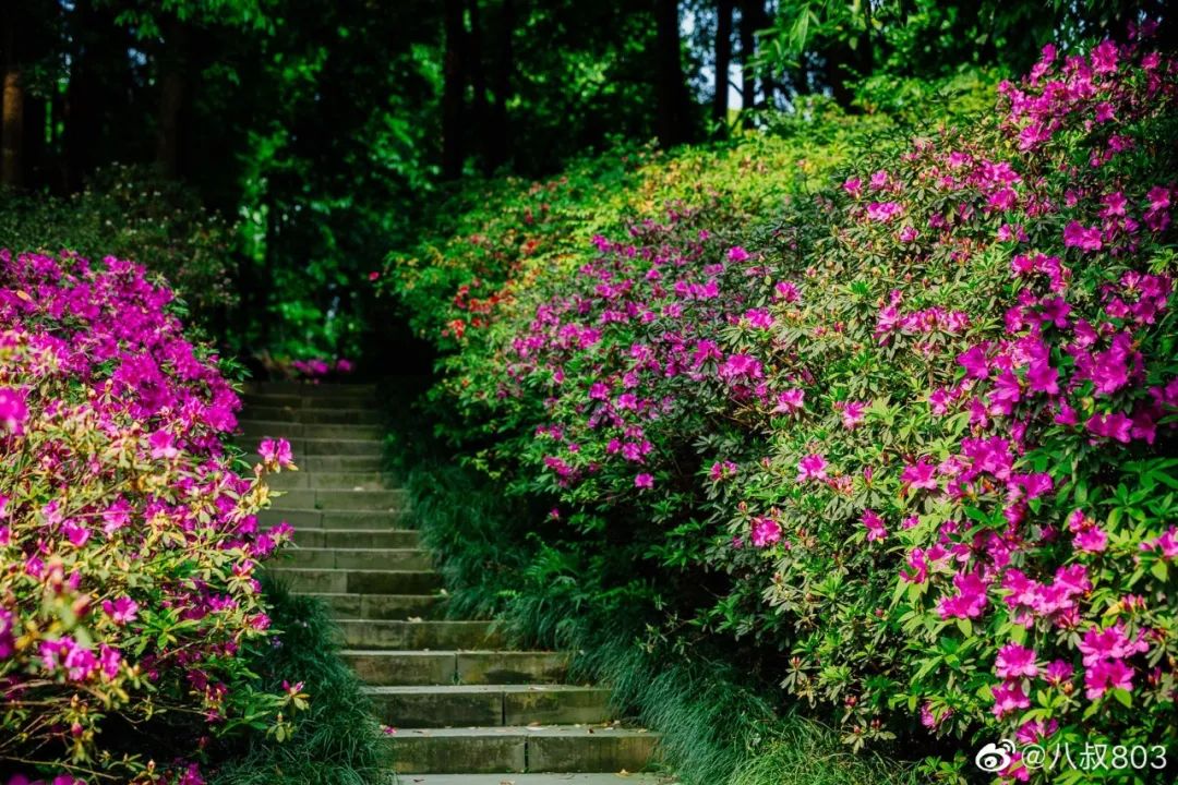 成都周边一日游免费景点推荐,成都温江十大景点免费