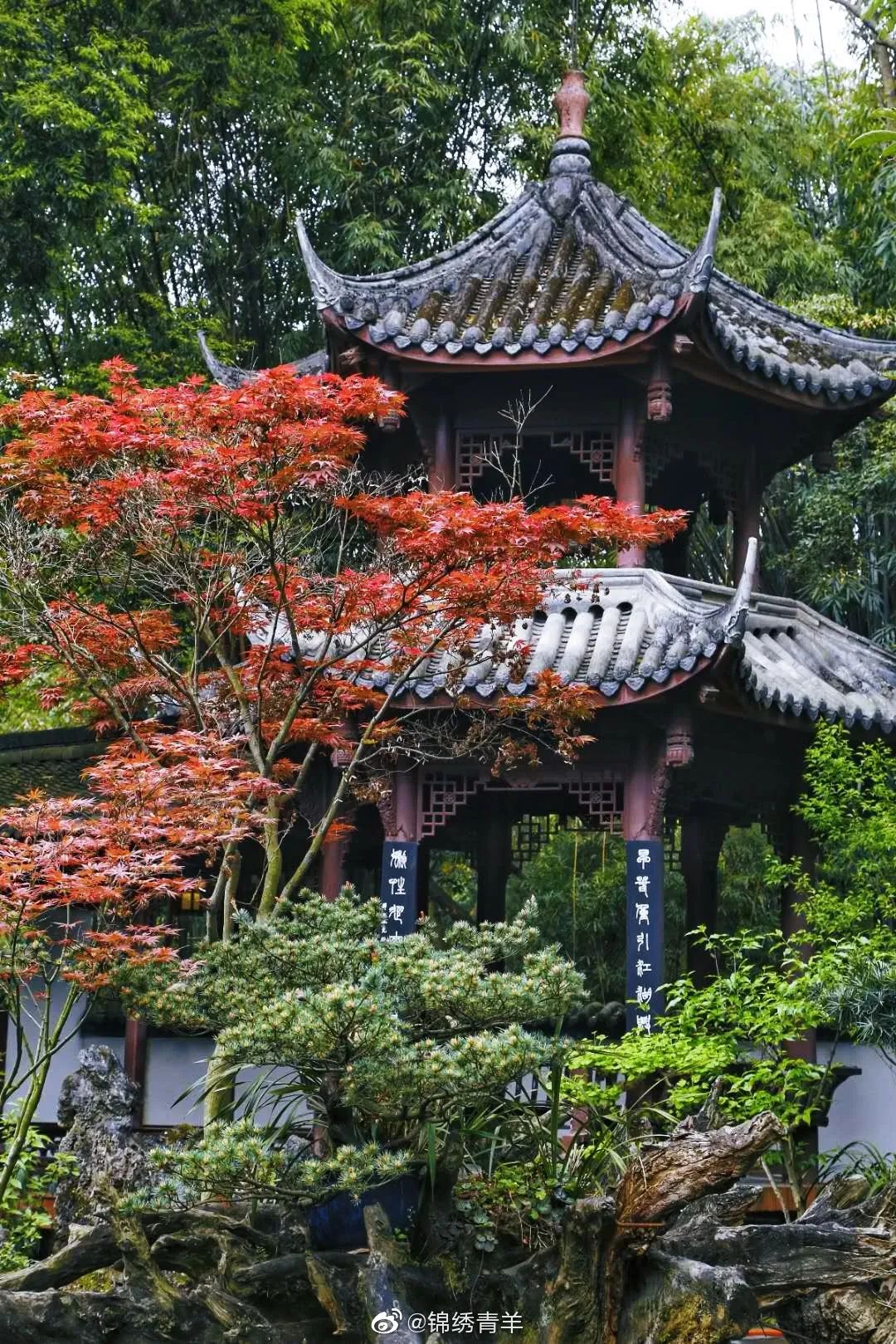 成都周边一日游免费景点推荐,成都温江十大景点免费