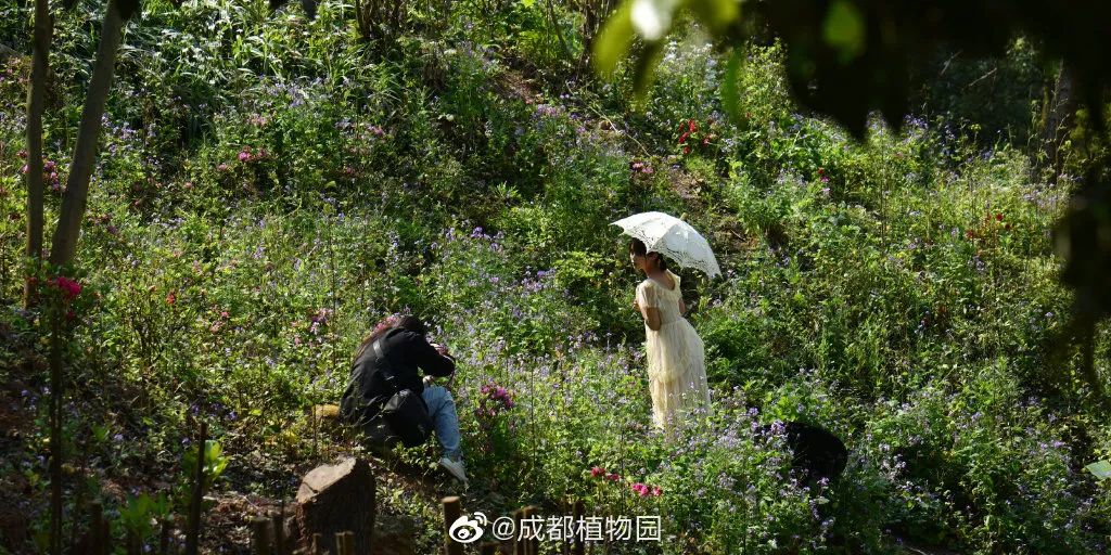 成都周边一日游免费景点推荐,成都温江十大景点免费