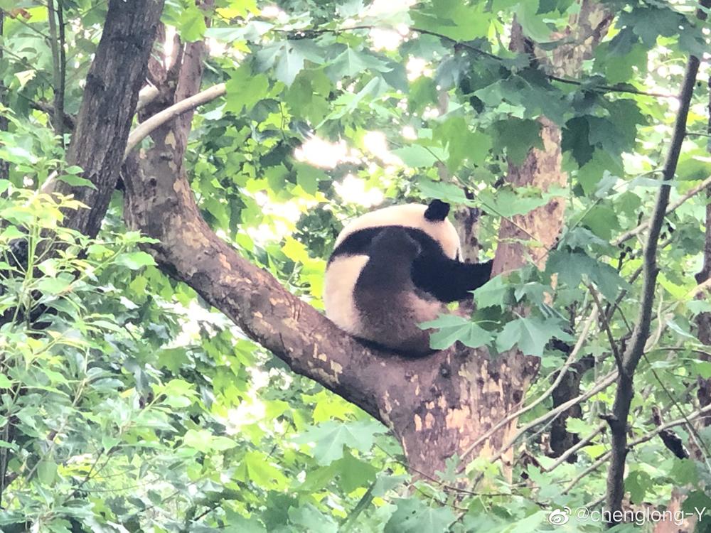 成都周边一日游免费景点推荐,成都温江十大景点免费