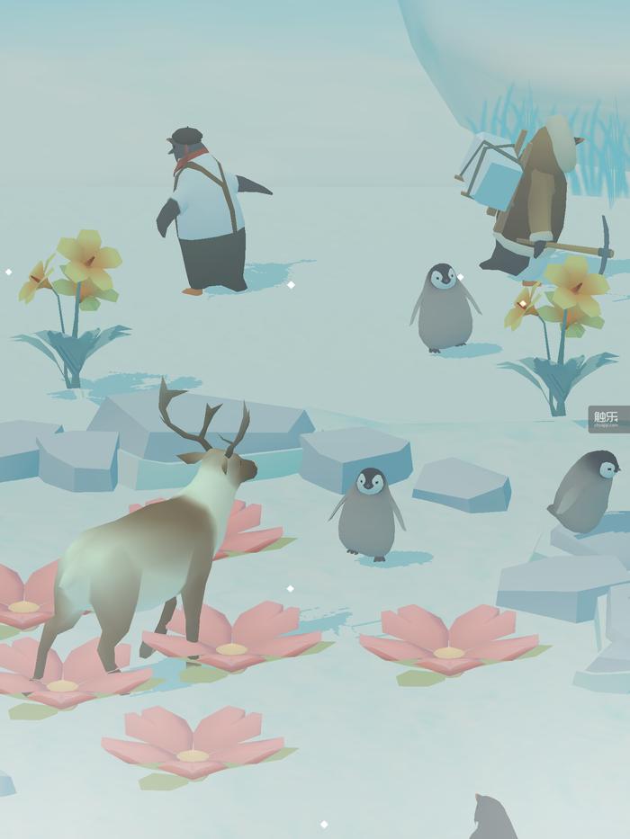 周末玩什么：在“动森”之外养企鹅，在伤感中体验国产Galgame