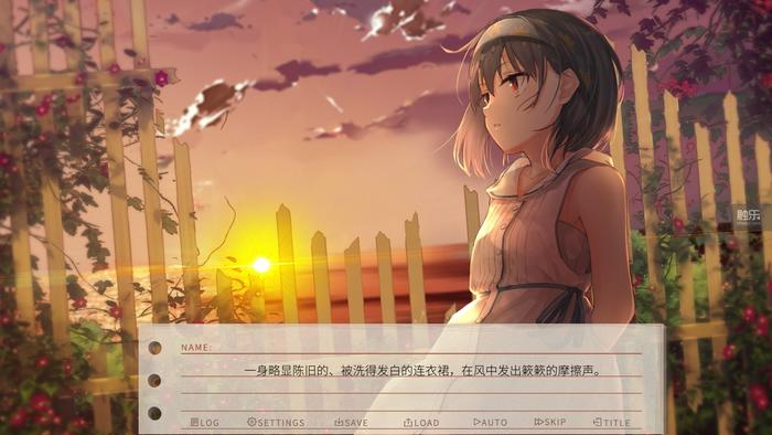 周末玩什么：在“动森”之外养企鹅，在伤感中体验国产Galgame