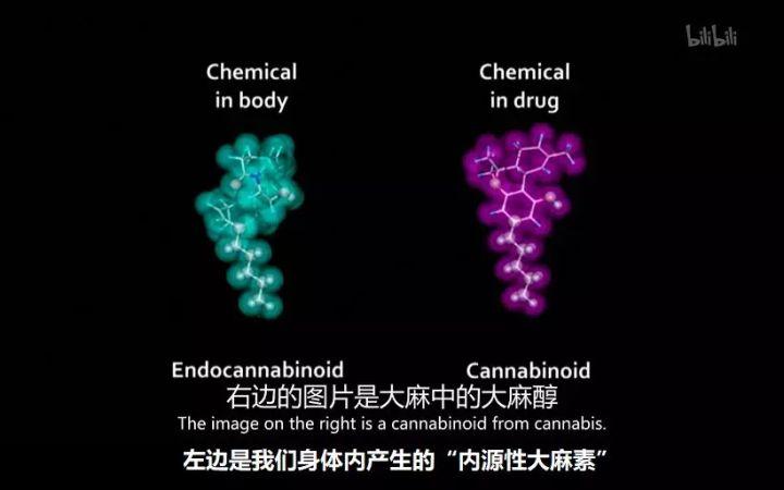 一篇看完爆发力就会提高的文章,一篇看完就失眠的文章