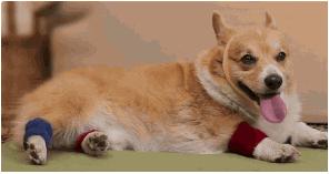 一篇看完爆发力就会提高的文章,一篇看完就失眠的文章