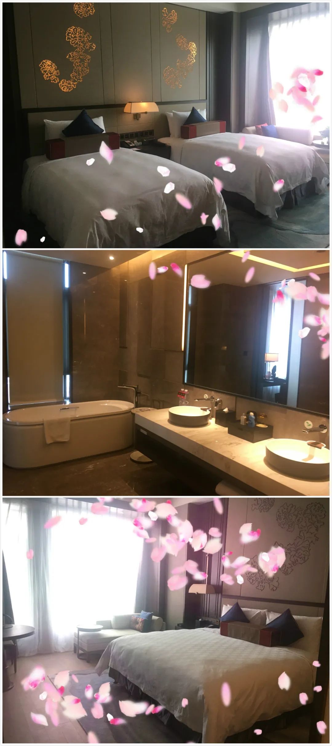 华邑酒店张家口套房,华邑酒店婚宴张家口