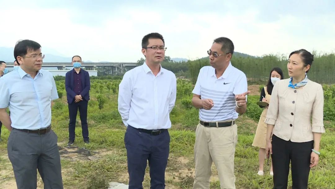 李伟忠四会旅游资源开发,李伟忠肇庆