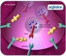 ad日本眼霜,adad眼霜