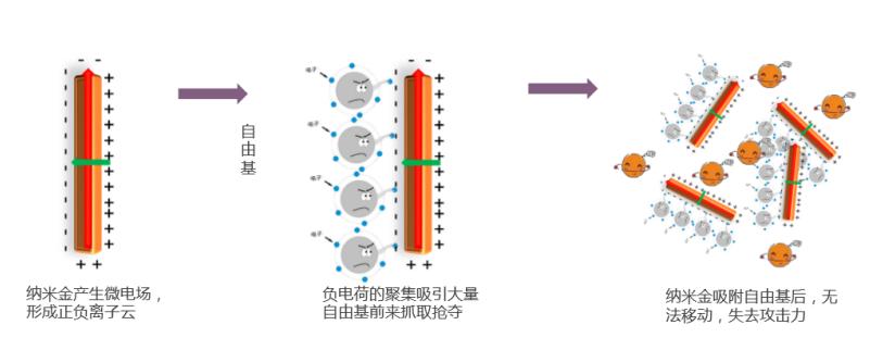 ad日本眼霜,adad眼霜