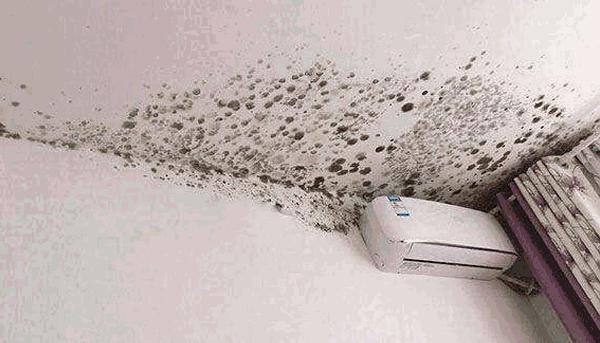 除霉神器,哪些好用又便宜的去霉神器