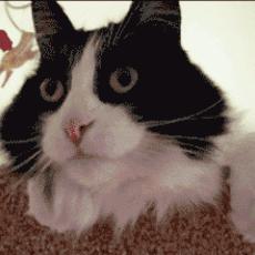 机动车驾驶人考试工作纪律,机动车驾驶人考试工作规范