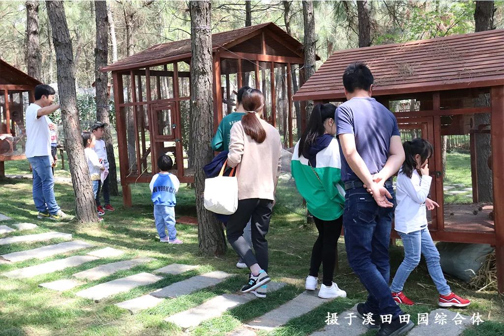 踏青江宁,南京江宁踏青赏花好去处