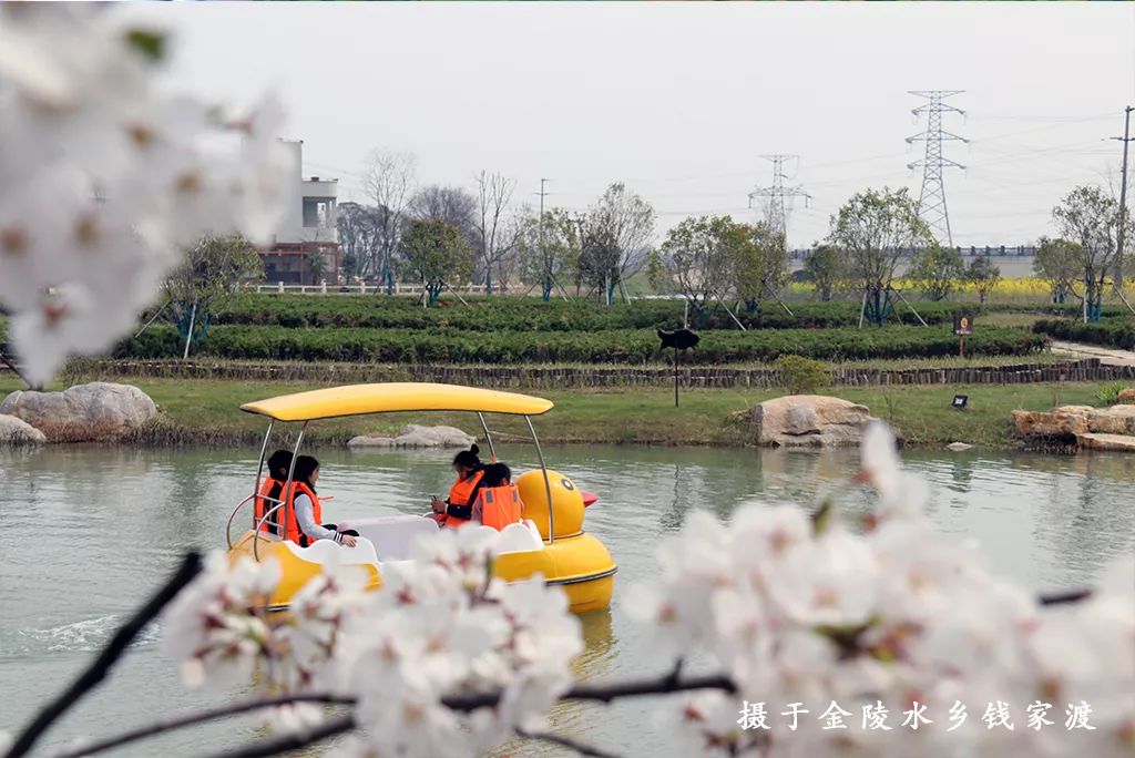 踏青江宁,南京江宁踏青赏花好去处