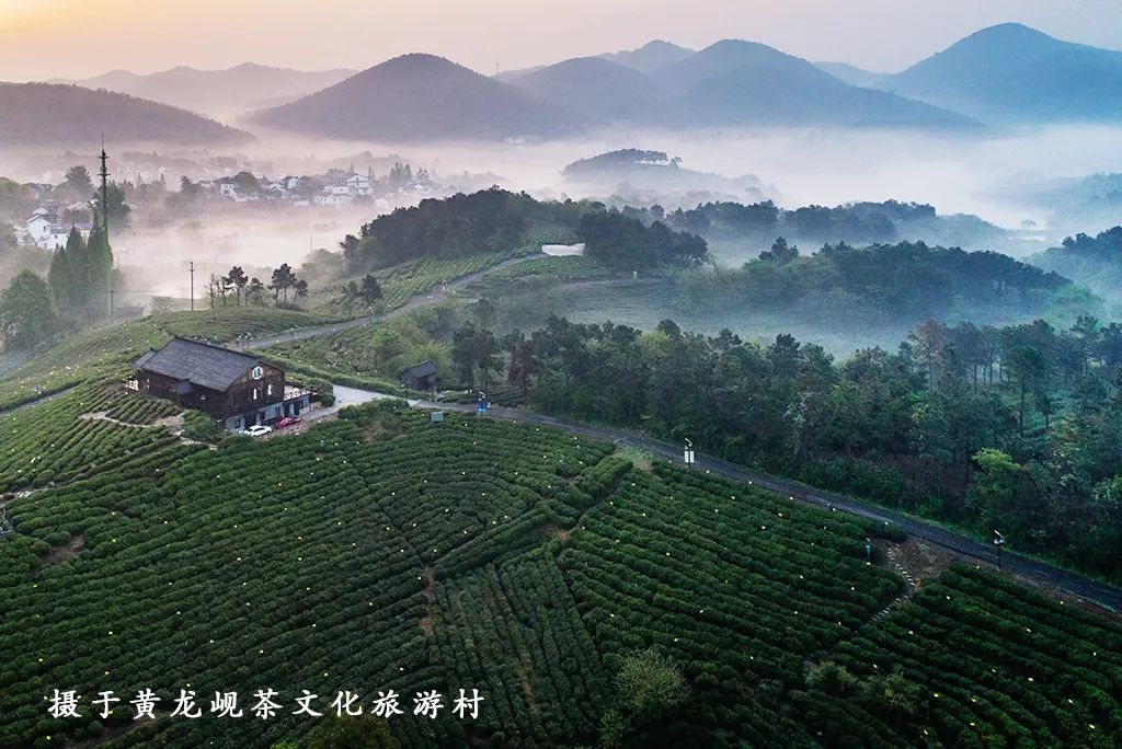 踏青江宁,南京江宁踏青赏花好去处