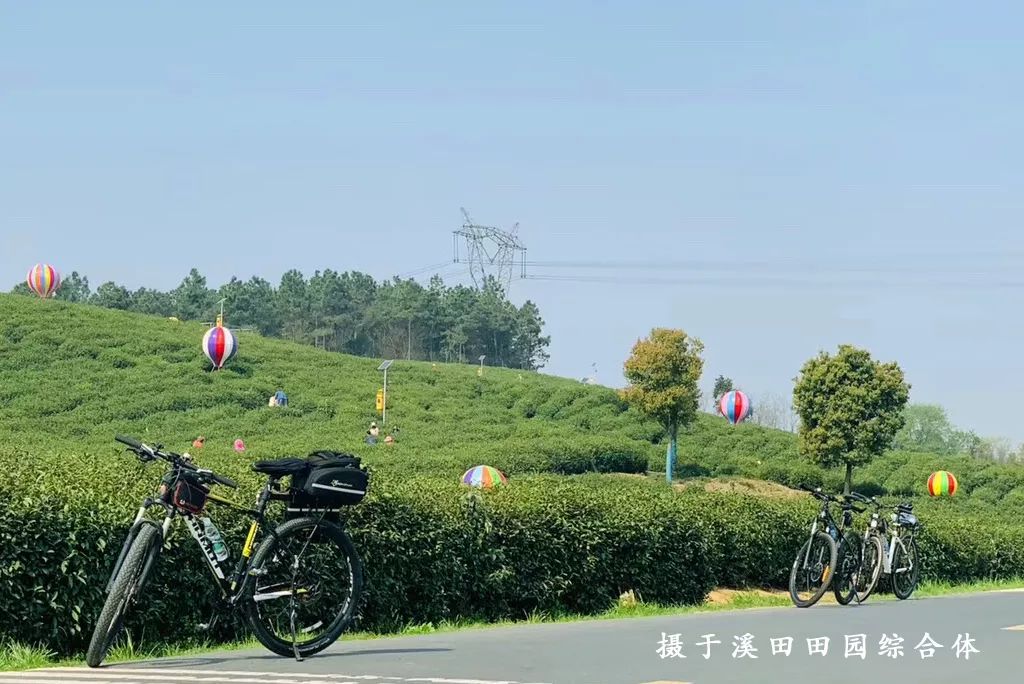 踏青江宁,南京江宁踏青赏花好去处