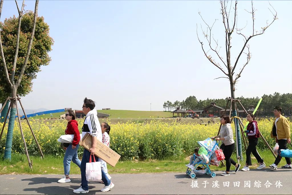 踏青江宁,南京江宁踏青赏花好去处