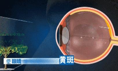 护眼蓝光过滤器,日本眼科蓝光过滤器