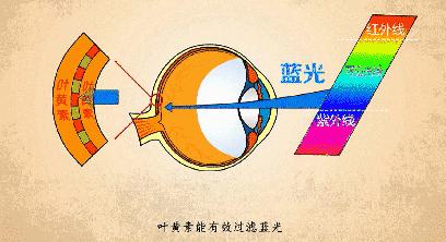 护眼蓝光过滤器,日本眼科蓝光过滤器