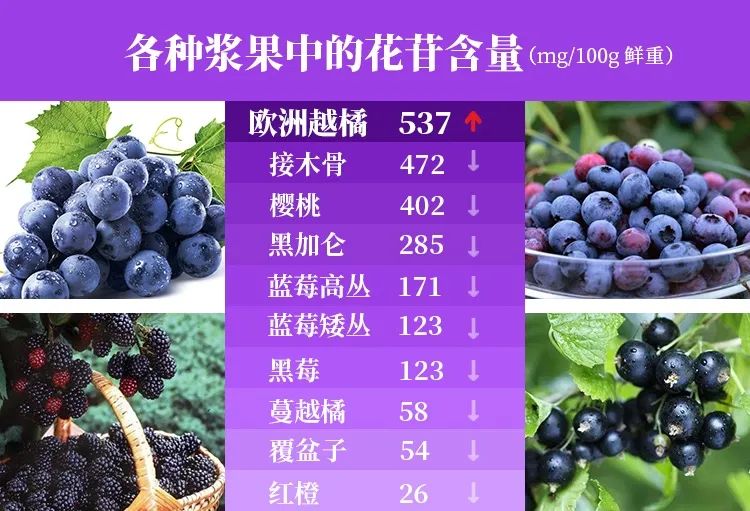 护眼蓝光过滤器,日本眼科蓝光过滤器