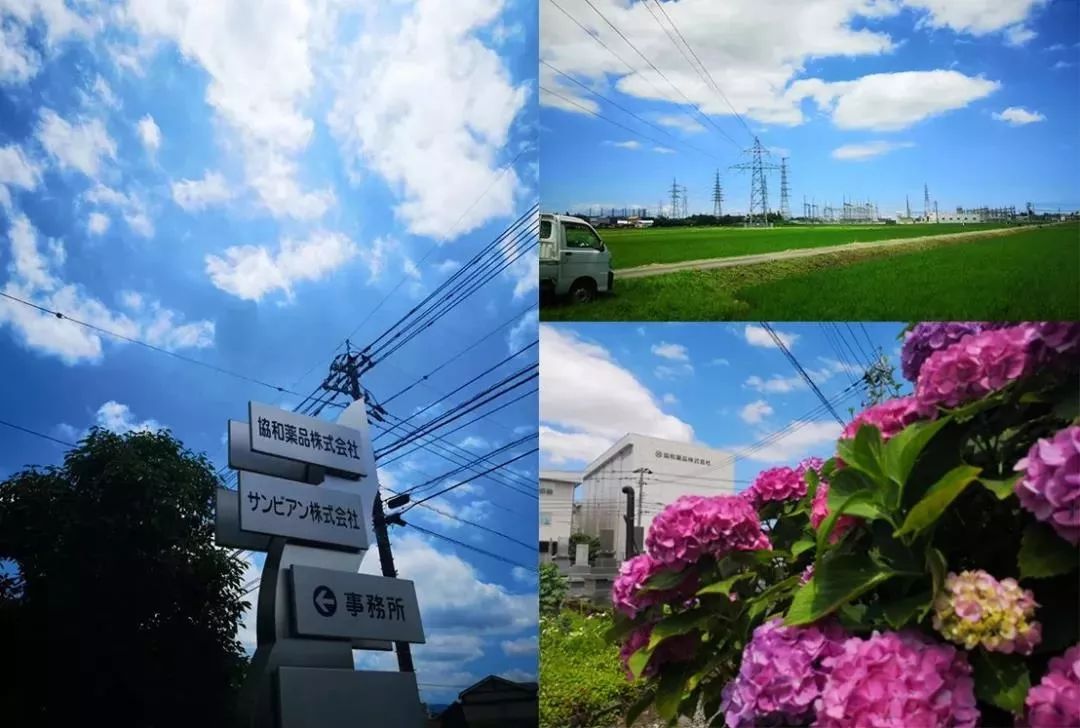 护眼蓝光过滤器,日本眼科蓝光过滤器