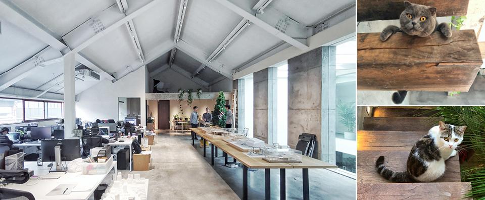 招聘|杭州|设计聚合–建筑师/项目建筑师/室内设计师/建筑及室内设计实习生