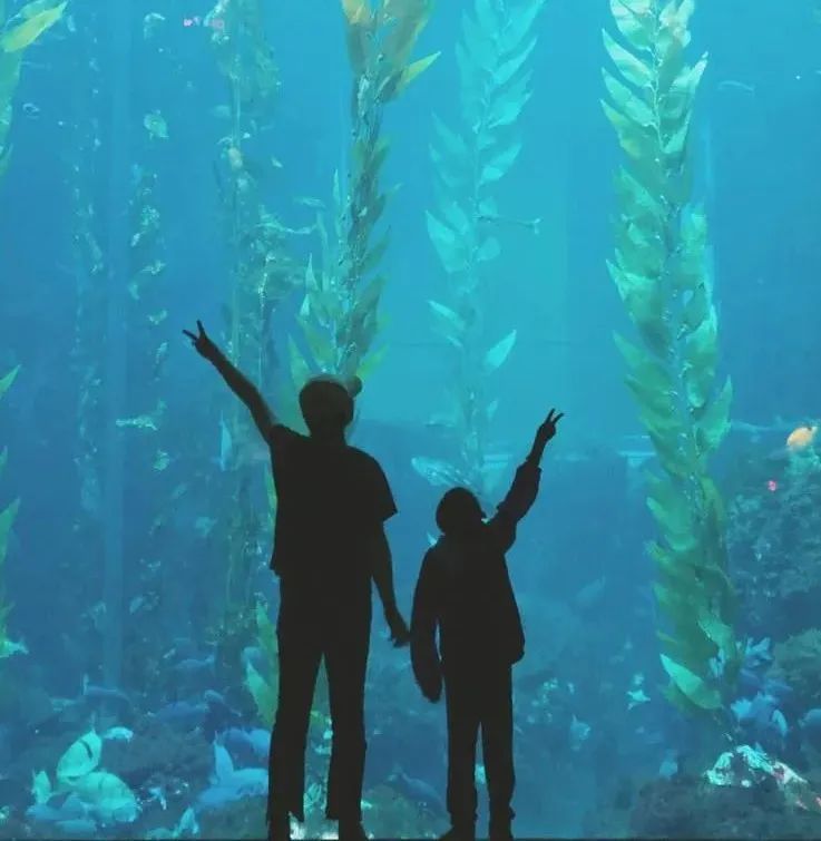 暂停自由行,暂停个人自由行