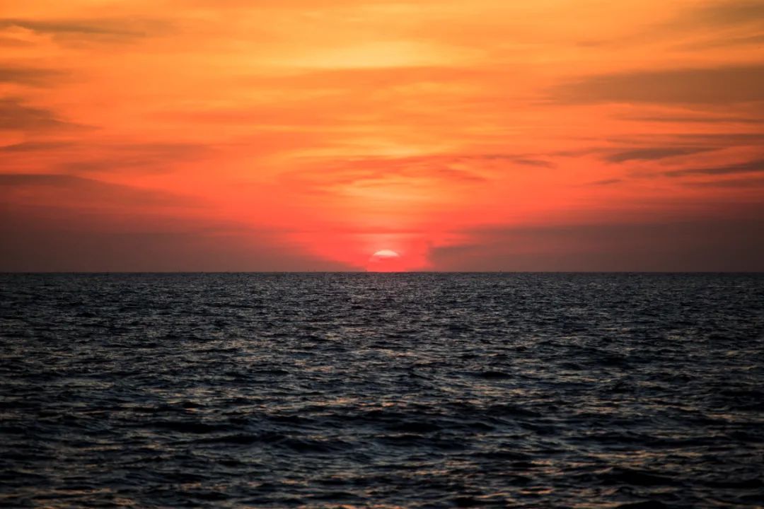 暂停自由行,暂停个人自由行