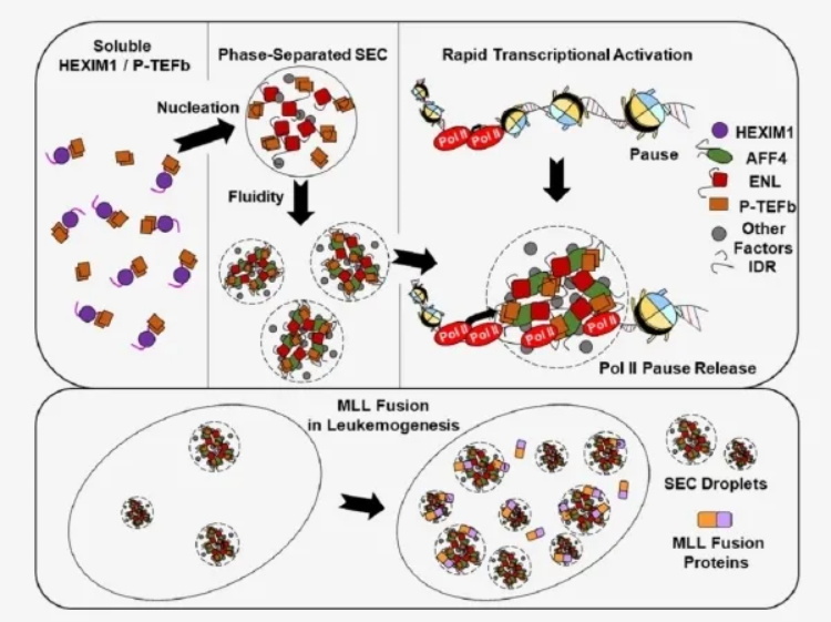 东南大学近期科研成果扫描