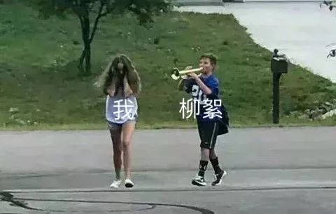 为什么房子里总有小毛毛,为什么房子里面会长蘑菇科学探究