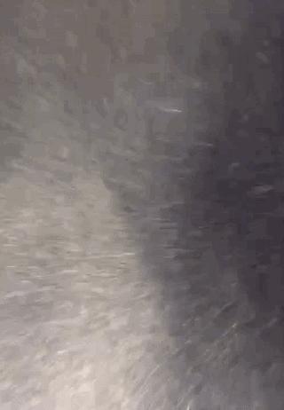 为什么家里总有“飞尘、毛絮”?学会这样做,干净又卫生,贼实用