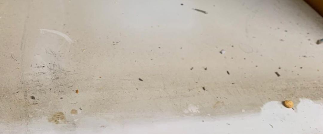 家里毛絮是怎么出来的,怎么减少室内毛絮