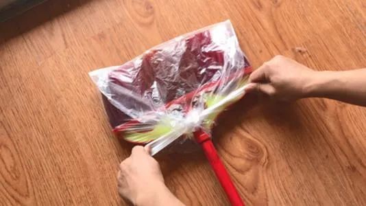 为什么房子里总有小毛毛,为什么房子里面会长蘑菇科学探究